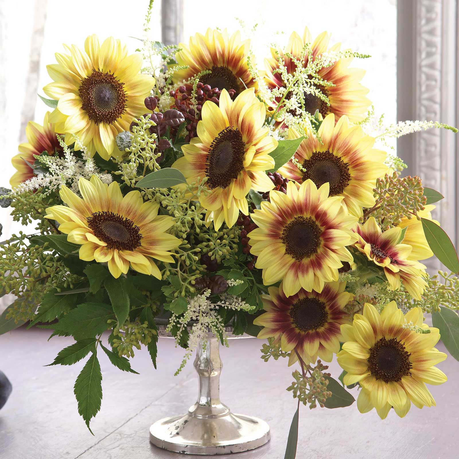 Sunflower Seeds - Marley