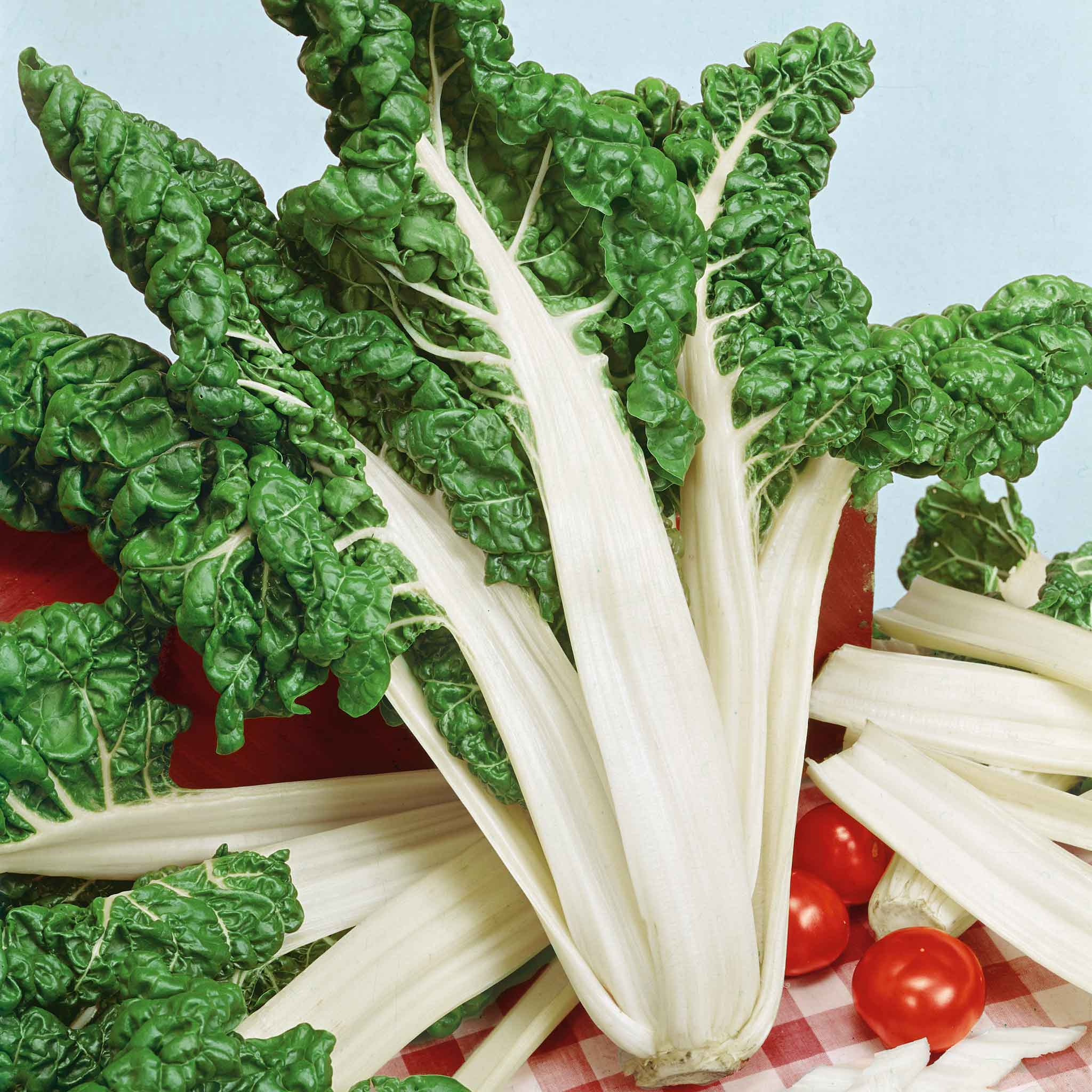 Swiss Chard Seeds - Fordhook
