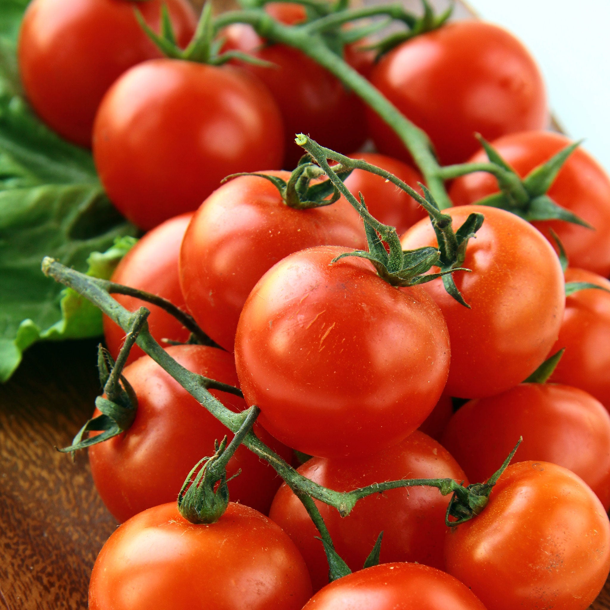 Organic Tomato Seeds - Red Cherry - Large