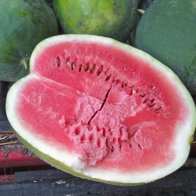 Watermelon Seeds - Black Diamond