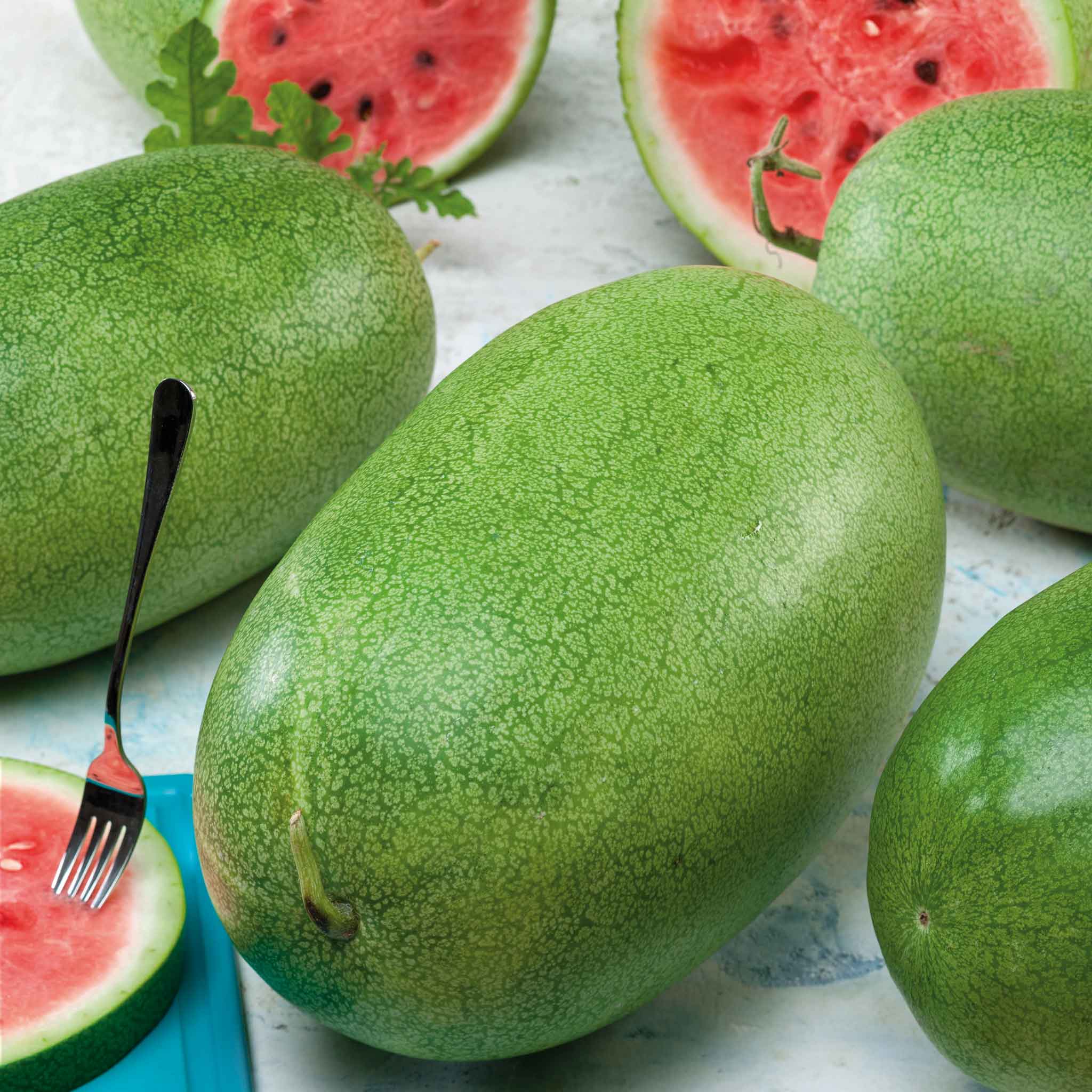 Watermelon Seeds - Charleston Grey