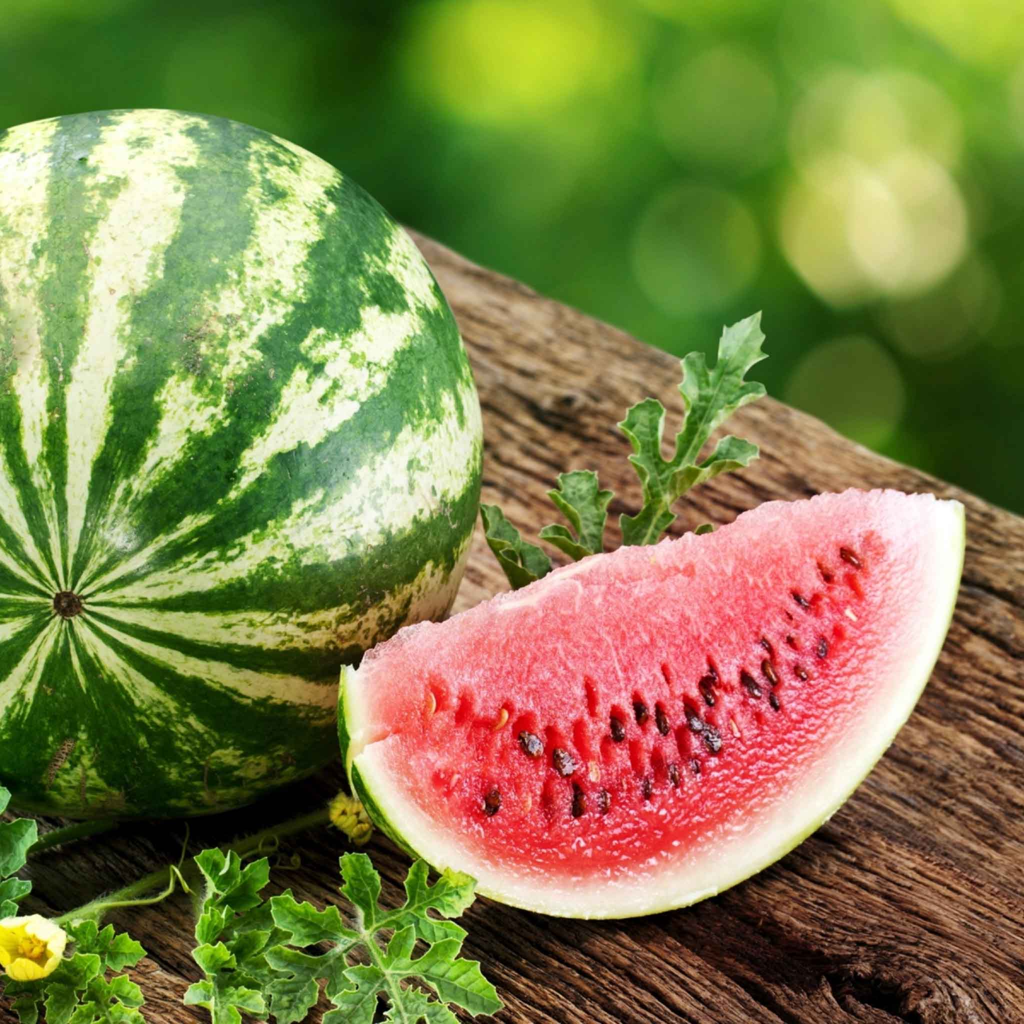 Watermelon Seeds - Dixie Queen