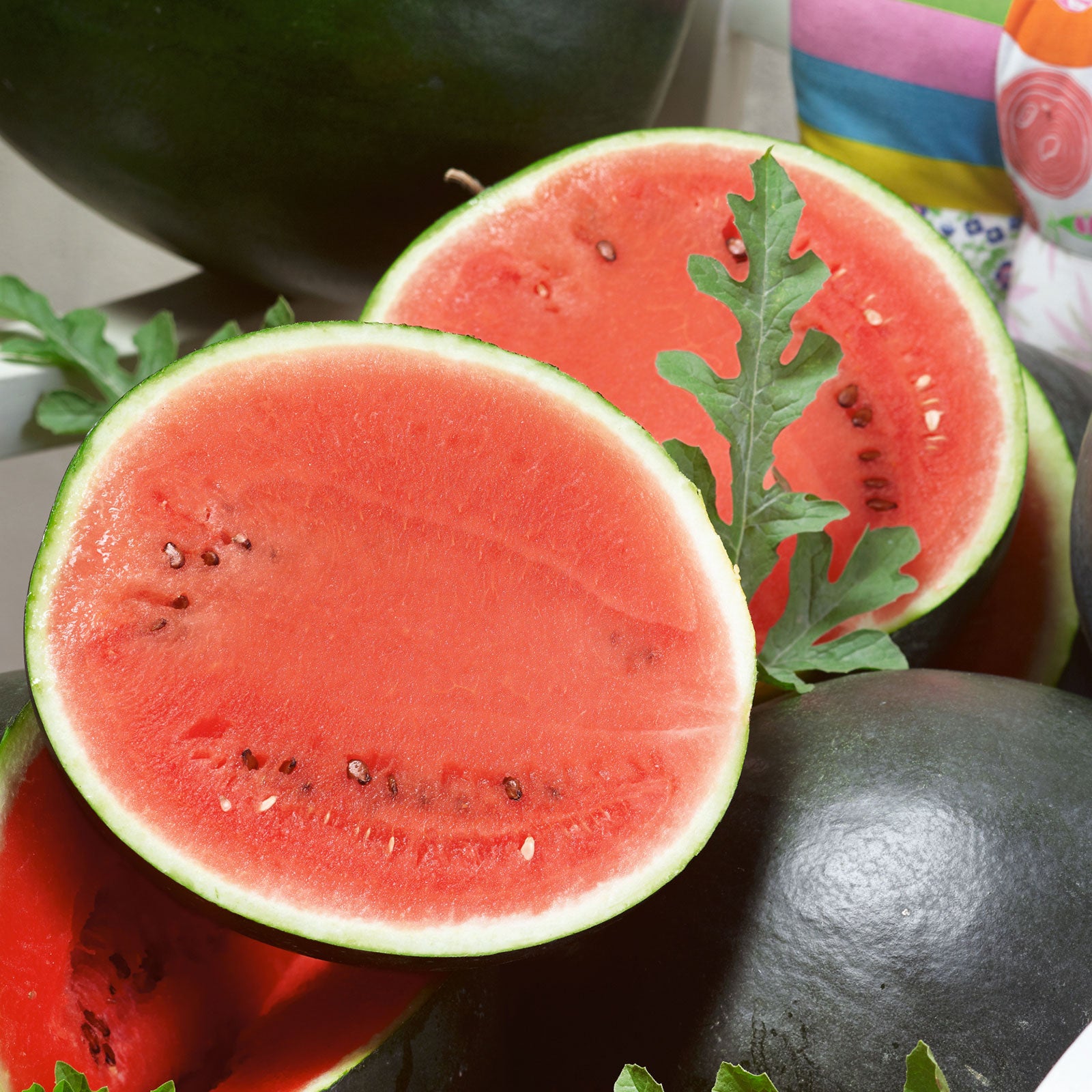 Watermelon Seeds - Sugar Baby Bush