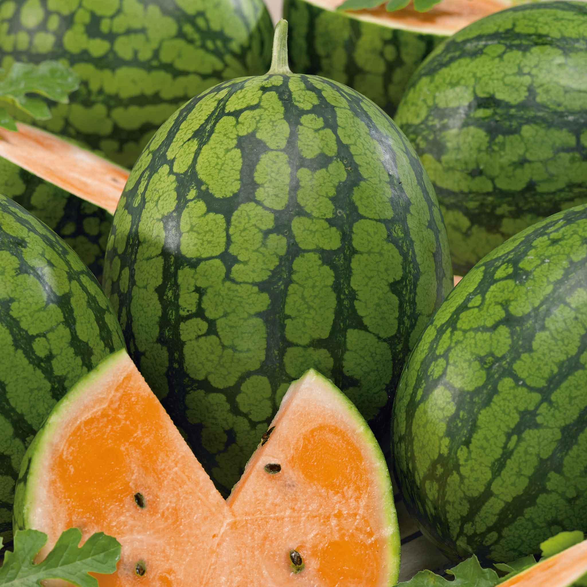 Watermelon Seeds - Tendersweet Orange