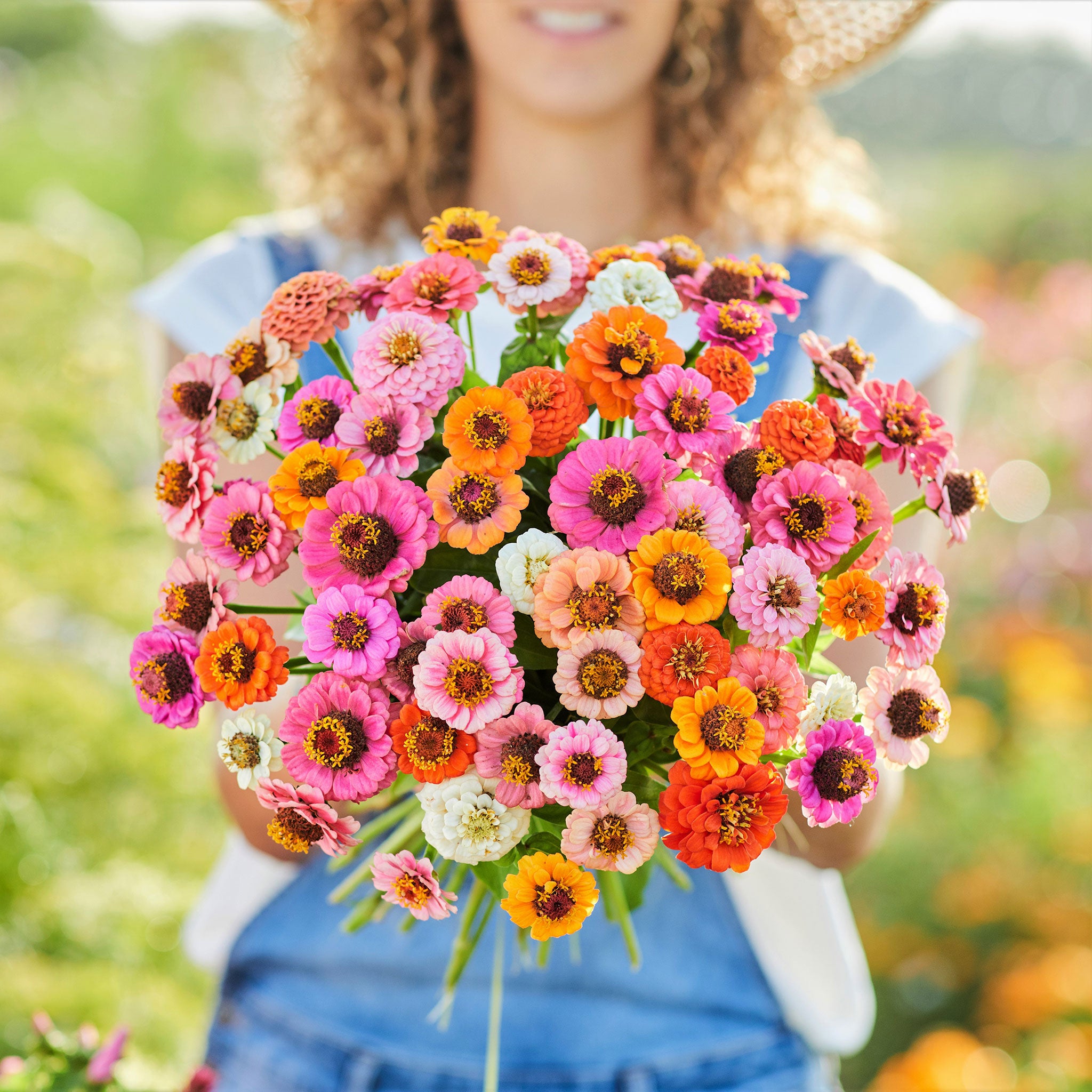 Zinnia Seeds - Button Box Mix